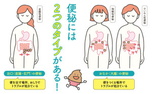 ２つのタイプ